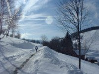 L'hiver les balades ne perdent rien de leur charme.